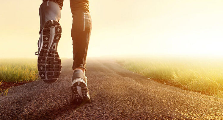 Isotonic Drink 500 ml