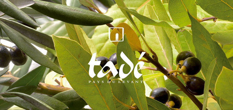 Überfette Seife Cologne aus Byzanz