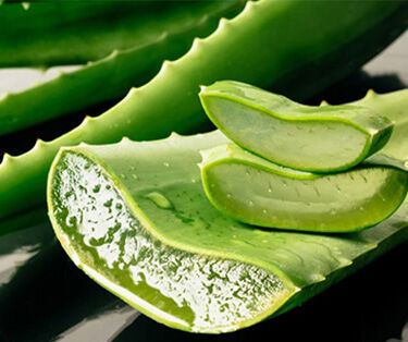 Hydrolat Citron et Aloe Vera