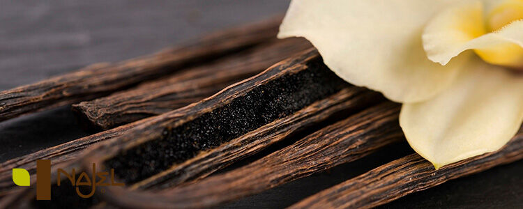 Baume levres vanille