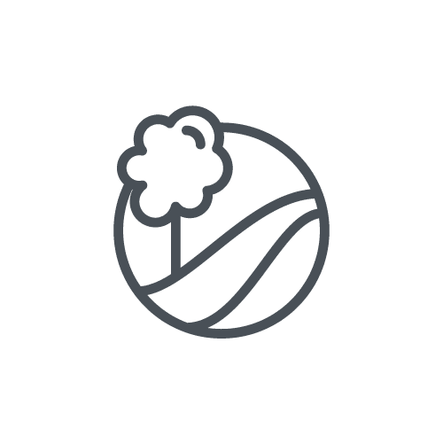 Ätherisches Öl Bio-Pfefferminze