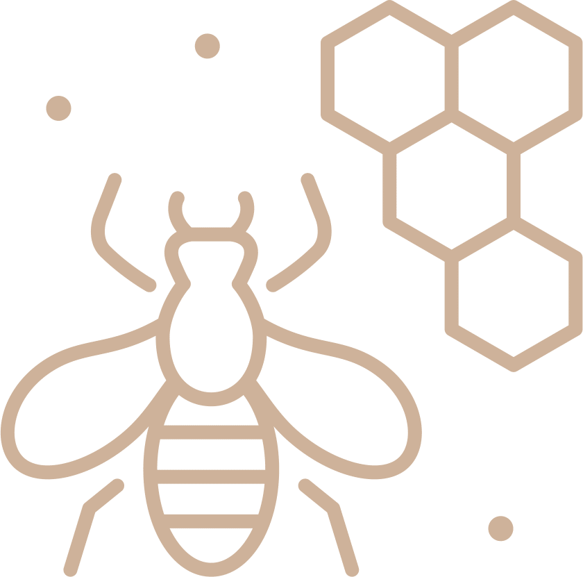 Exfoliant Doux Visage