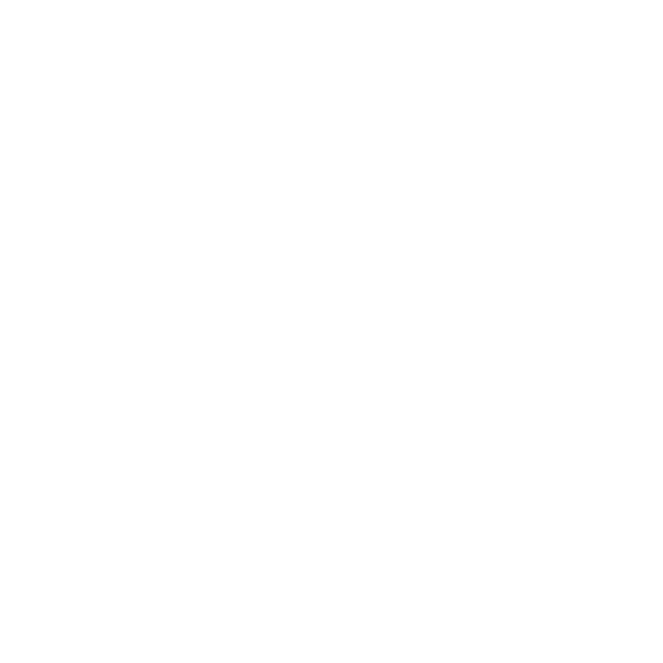 100 % BEEF PROTEIN - NUTREND